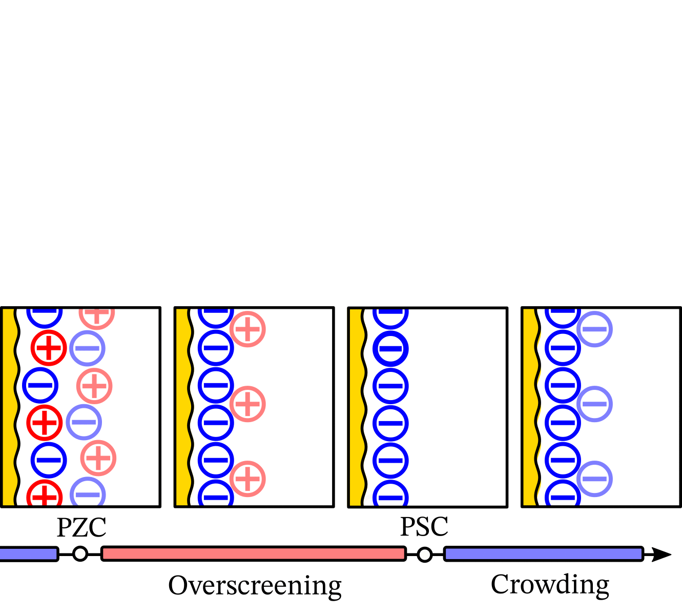 Versions of Figure 1